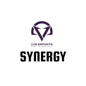 LVG Synergy